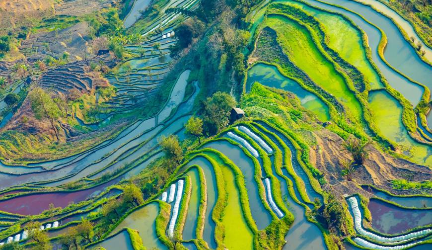 宝妈必备神器：萨迦县产品视频拍摄轻松育儿好帮手